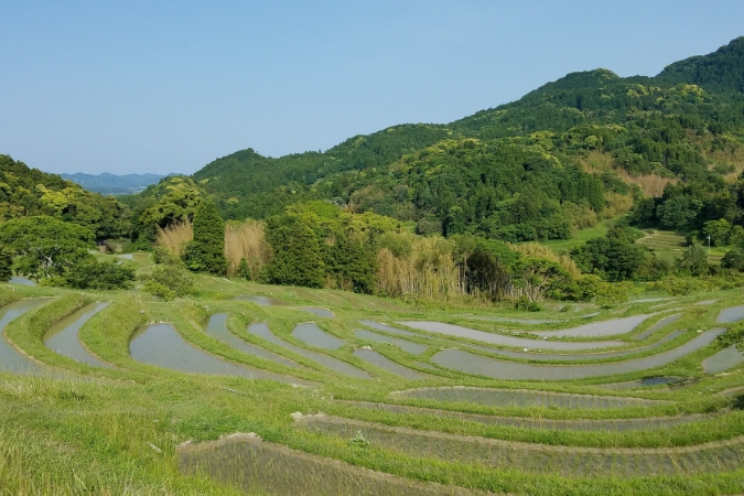 冬でも過ごしやすい温暖な気候