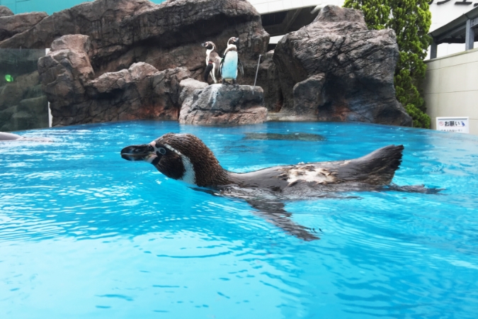 充実した休日を過ごせる三重の魅力