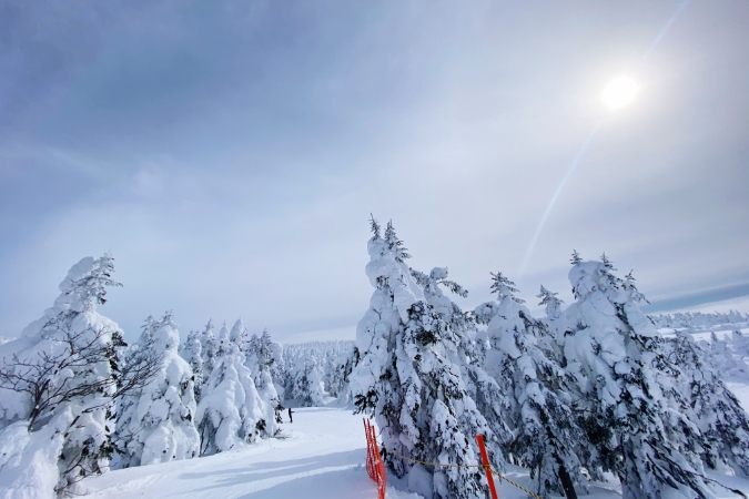 県内各地に美しい自然の景勝地が点在
