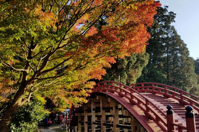 山林に覆われた“木のくに”、和歌山県