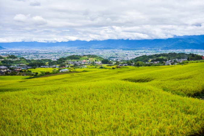 都心にアクセスしやすく、移住者に人気のまち